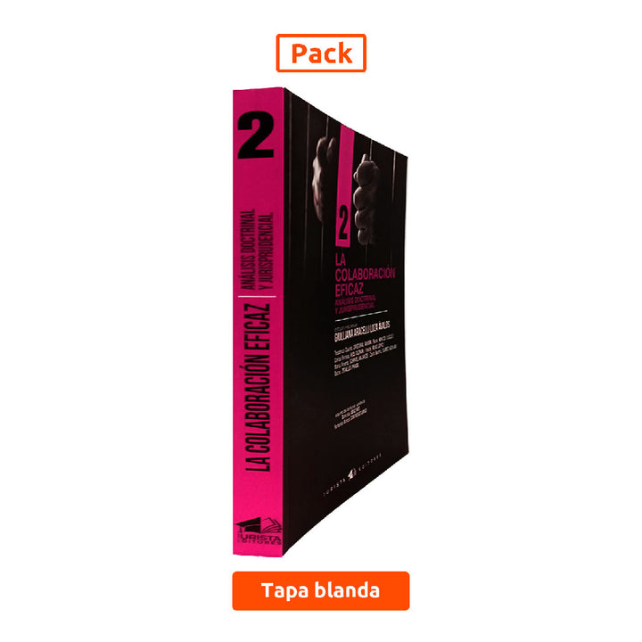 Colección de Derecho Procesal | Análisis Doctrinal y Jurisprudencial