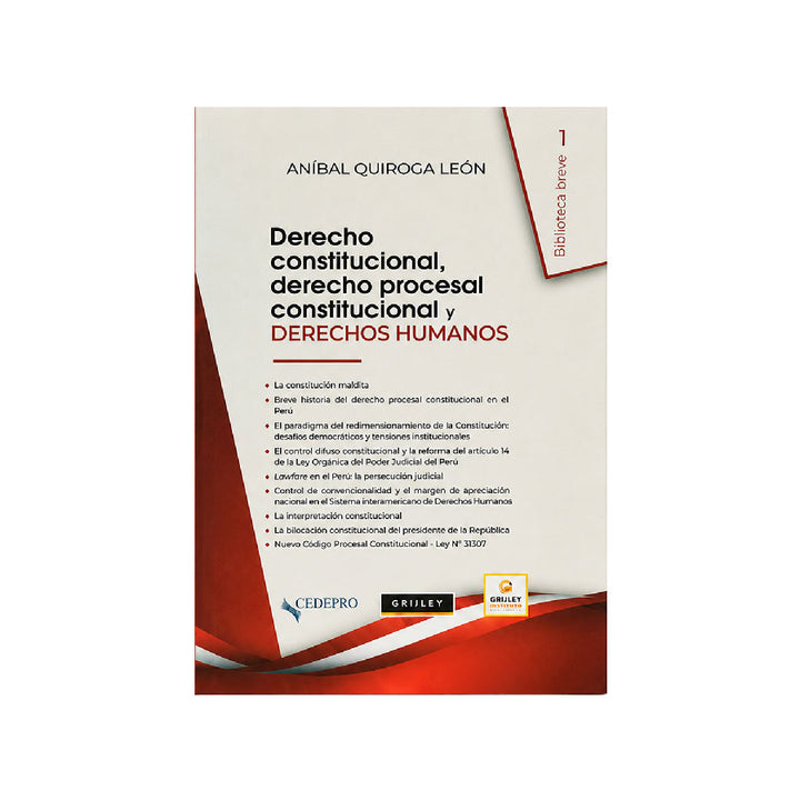 Derecho Constitucional, Derecho Procesal Constitucional y Derechos Humanos