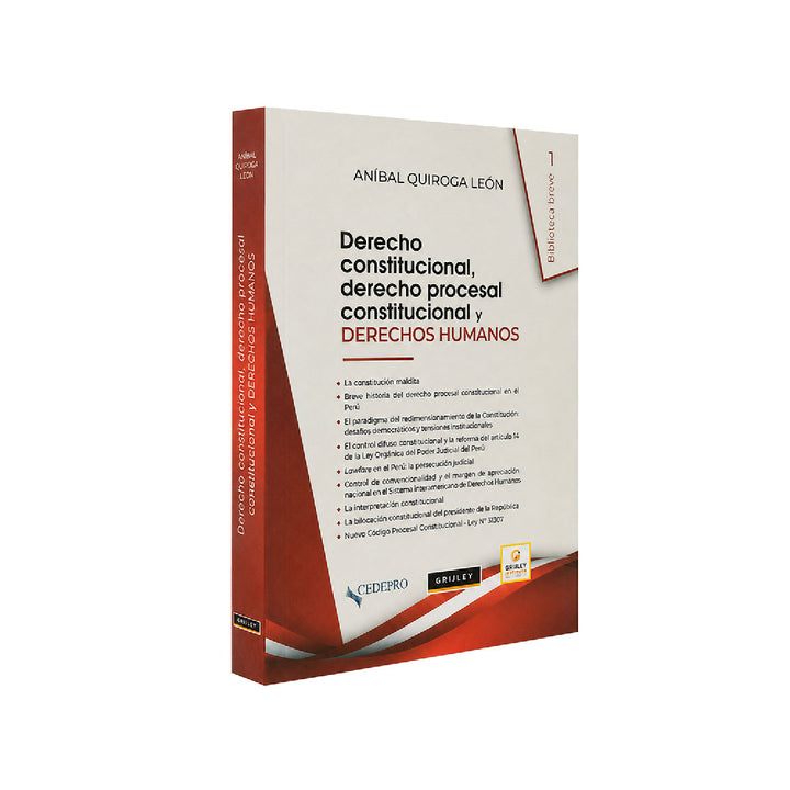 Derecho Constitucional, Derecho Procesal Constitucional y Derechos Humanos