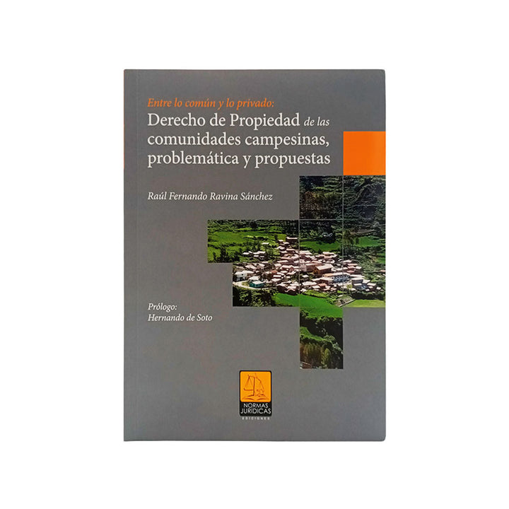 Entre lo común y lo privado: Derecho de Propiedad de las Comunidades Campesinas, Problemática y Propuestas.