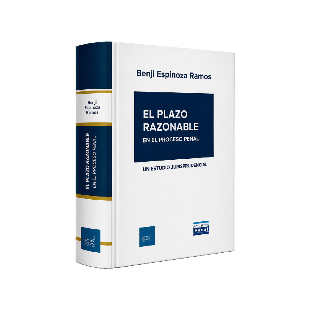 El Plazo Razonable en el Proceso Penal