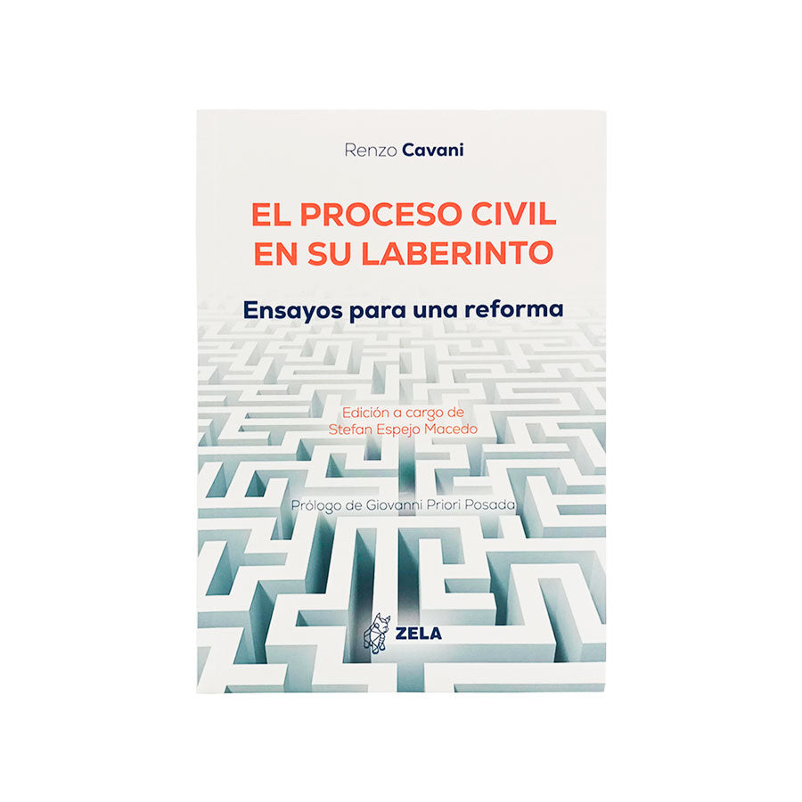 El Proceso Civil en su Laberinto