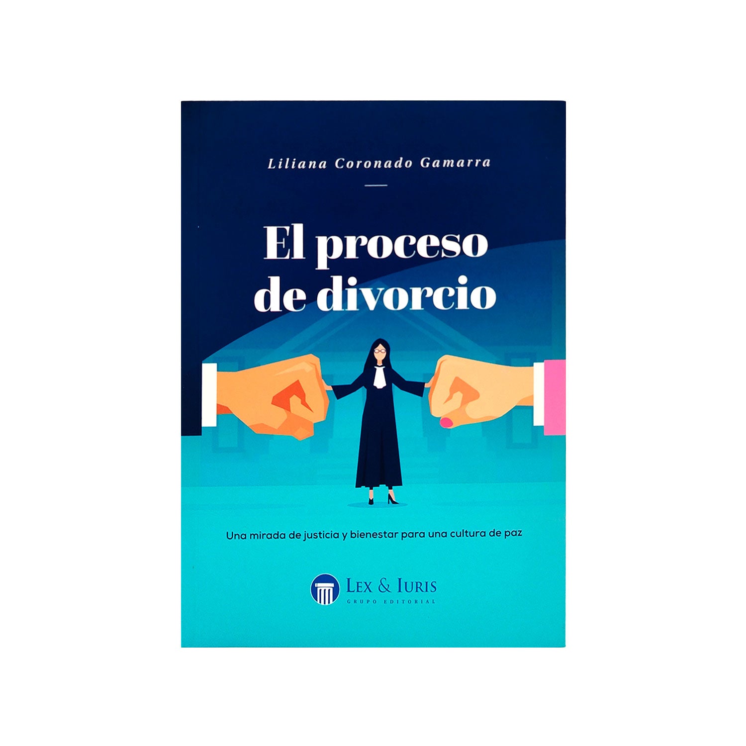 El Proceso De Divorcio Libro Jurídico