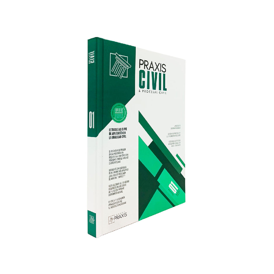 Estrategias Clave de Aplicación en la Oralidad Civil - Praxis Civil & Procesal Civil