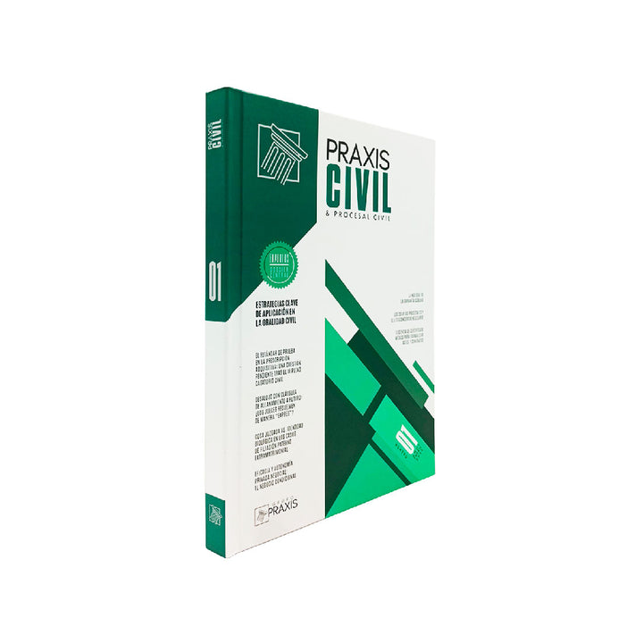 Estrategias Clave de Aplicación en la Oralidad Civil - Praxis Civil & Procesal Civil