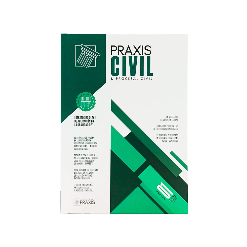 Estrategias Clave de Aplicación en la Oralidad Civil - Praxis Civil & Procesal Civil