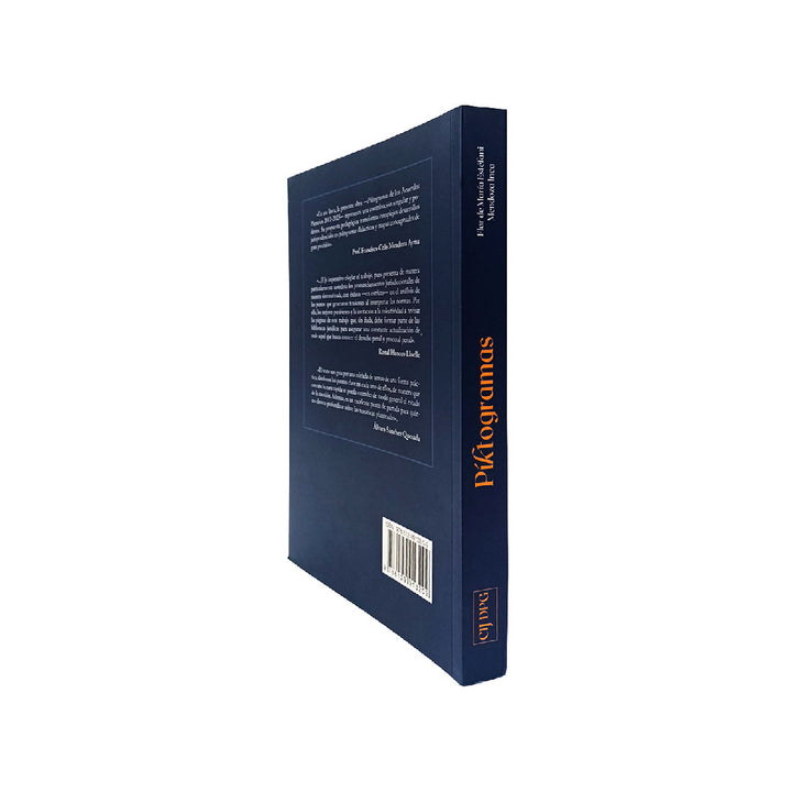 Piktogramas de los Acuerdos Plenarios 2011 - 2025