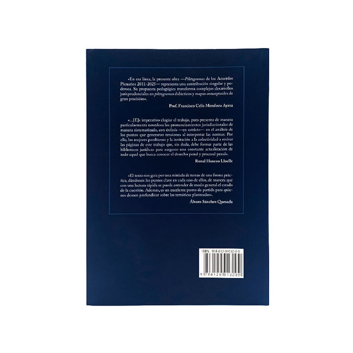 Piktogramas de los Acuerdos Plenarios 2011 - 2025
