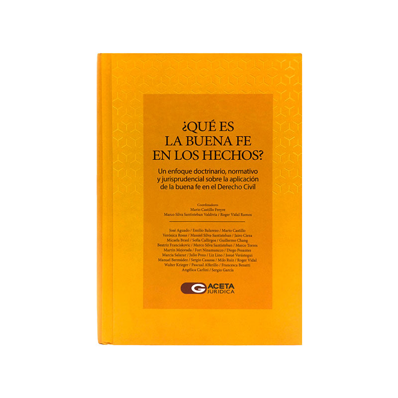 ¿Que es la Buena Fe en los Hechos?