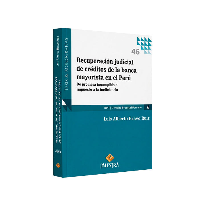 Recuperación judicial de créditos de la banca mayorista en el Perú, Luis Alberto Bravo Ruiz, Palestra