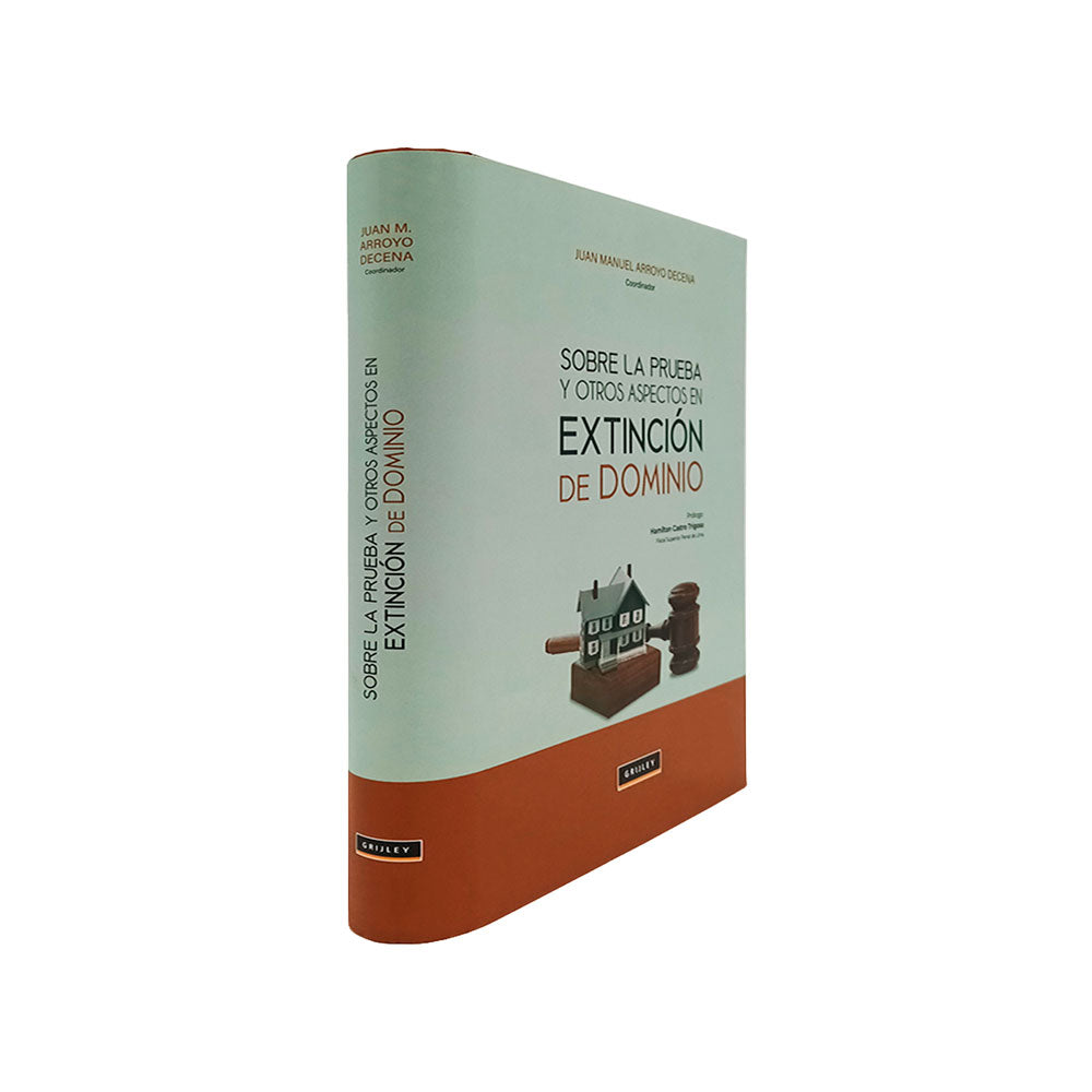 Sobre la Prueba y Otros Aspectos en Extinción de Dominio
